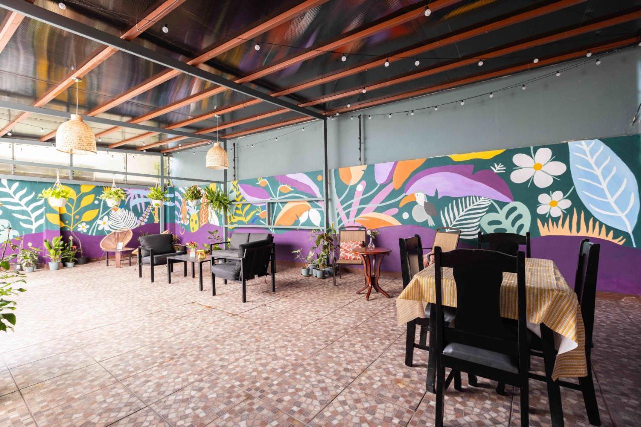 Viva Guest House San José Exteriér fotografie