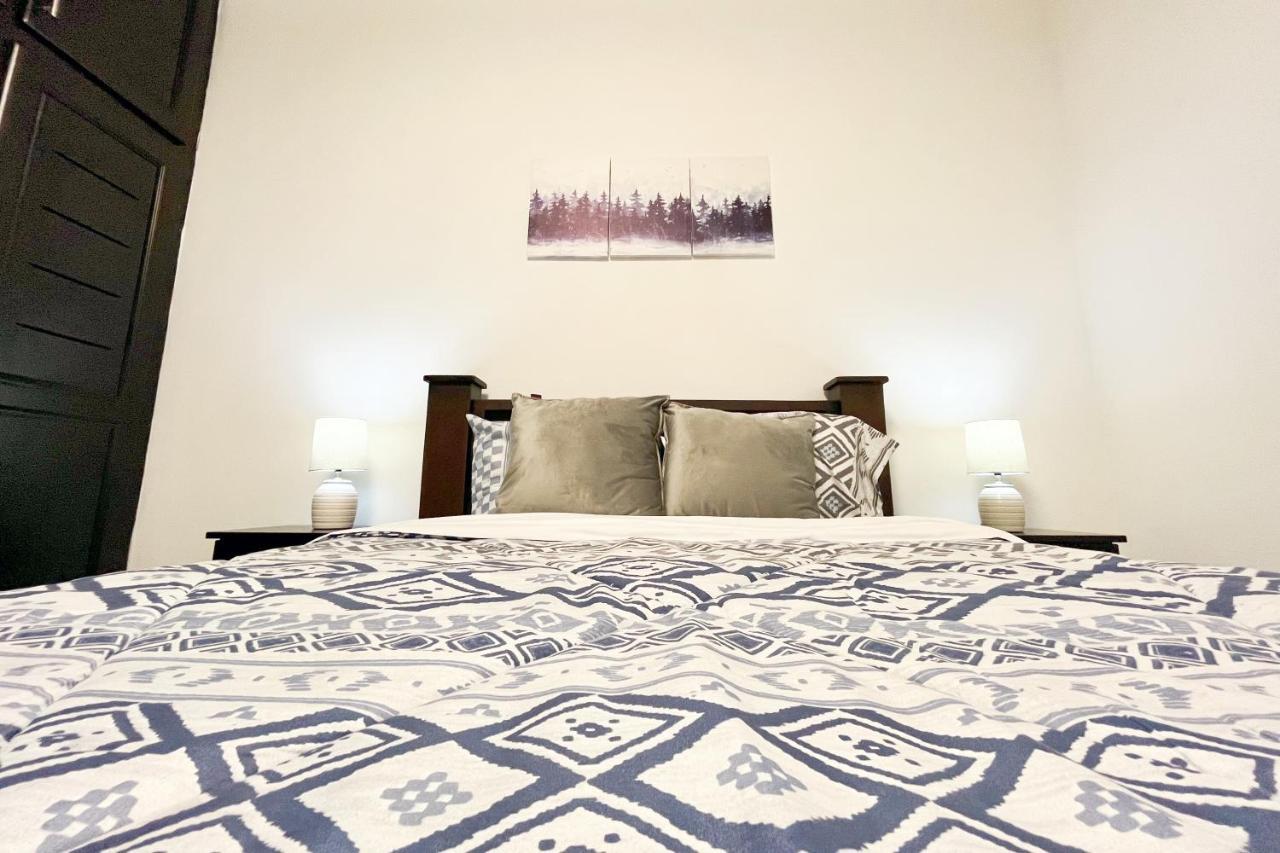 Viva Guest House San José Exteriér fotografie