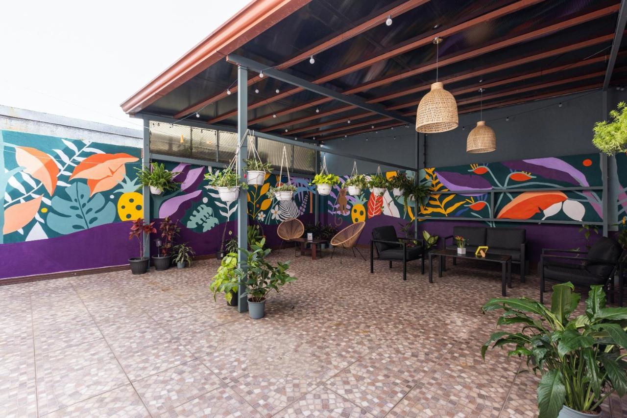 Viva Guest House San José Exteriér fotografie