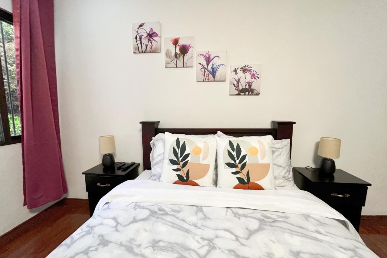 Viva Guest House San José Exteriér fotografie